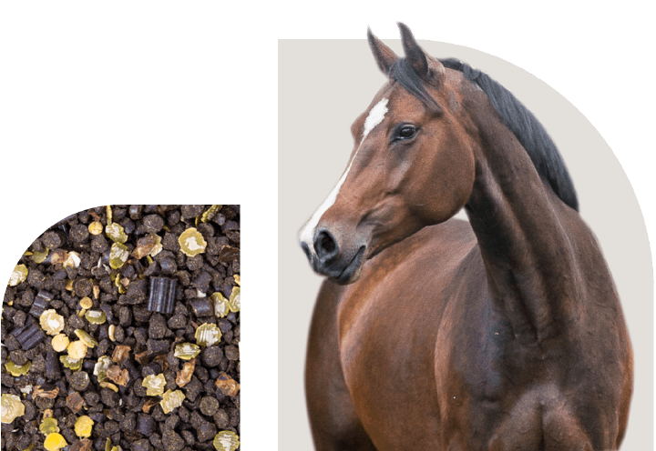 bild hoeveler sortiment pferdefutter getreidefrei